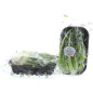 CIMATA MISS FRESCHEZZA RAVIER 7X300G